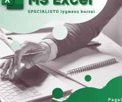 MS Excel: specialisto lygmuo pagal MOS sertifikavimo programą